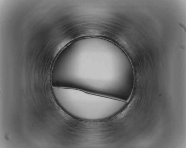 X0000096721081200802051055