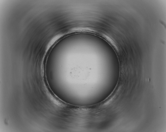 X0000096721082200802051055