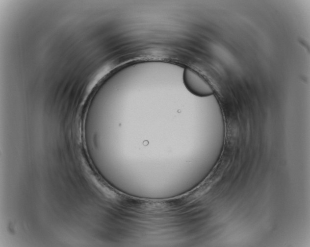 X0000096721083200802051055