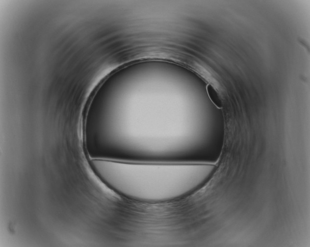 X0000096721084200802051055