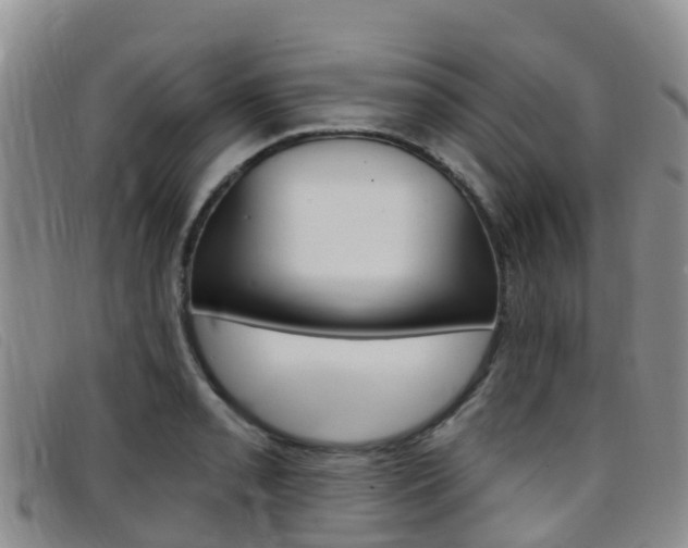 X0000096721085200802051055
