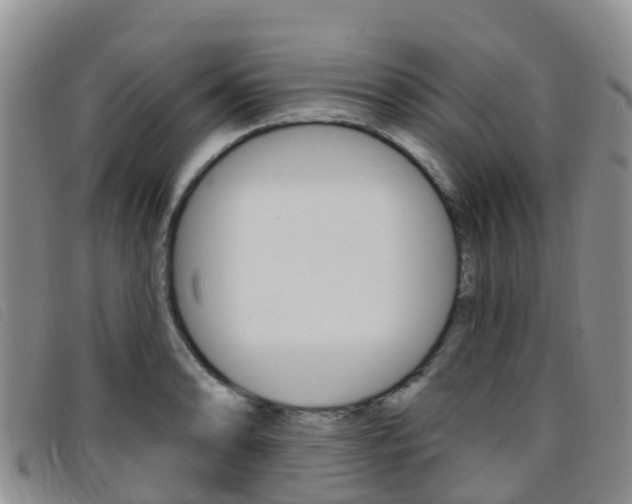 X0000096721086200802051055