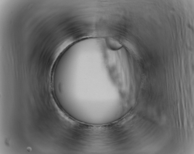 X0000096721087200802051055