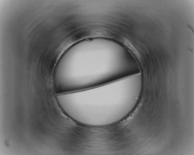 X0000096721089200802051055