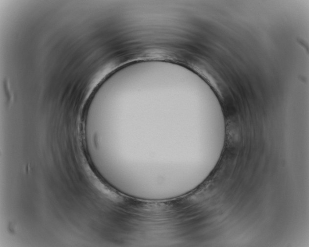 X0000096721091200802051055