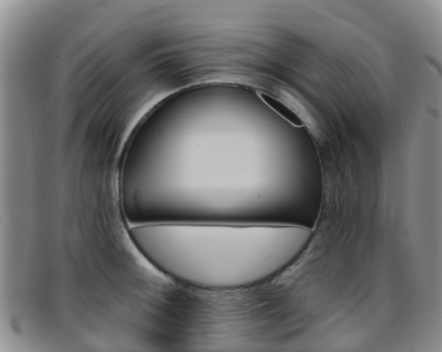 X0000096721092200802051055