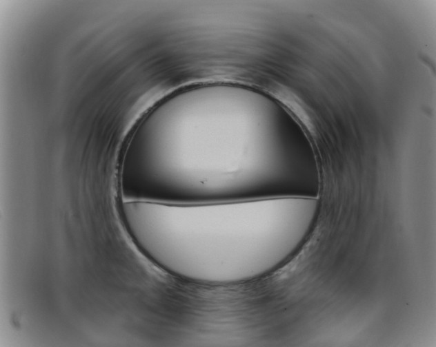 X0000096721093200802051055