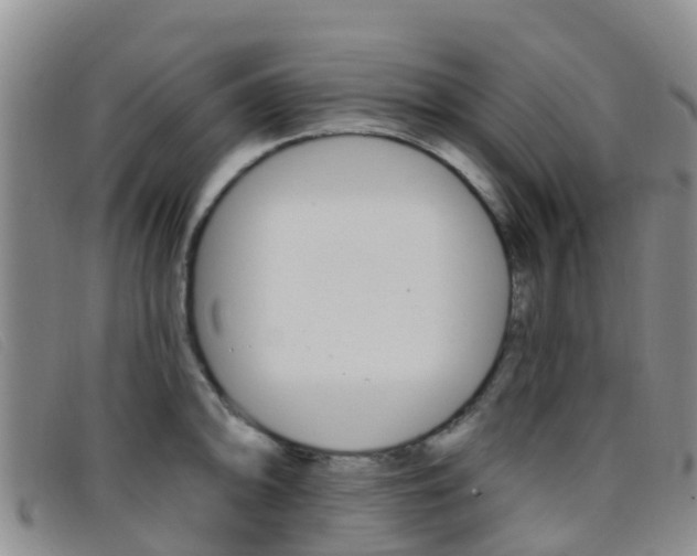 X0000096721094200802051055