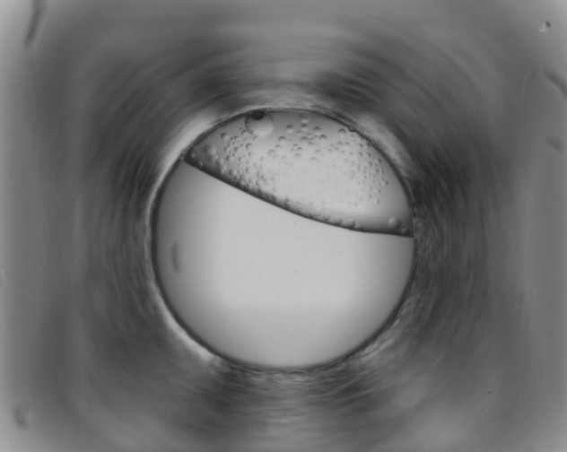 X0000096721095200802051055