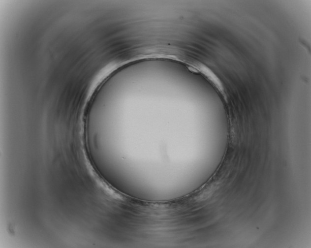 X0000096721096200802051055