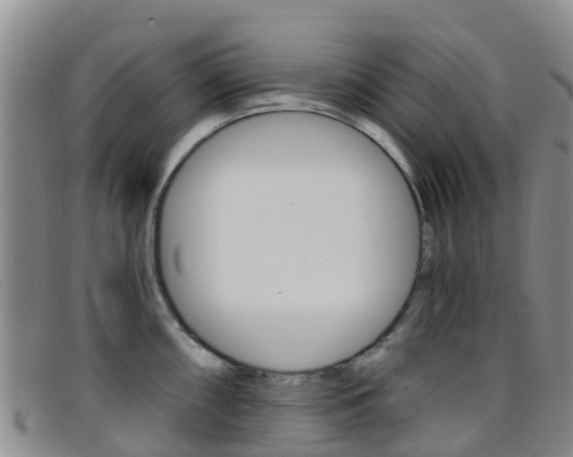X0000096721098200802051055