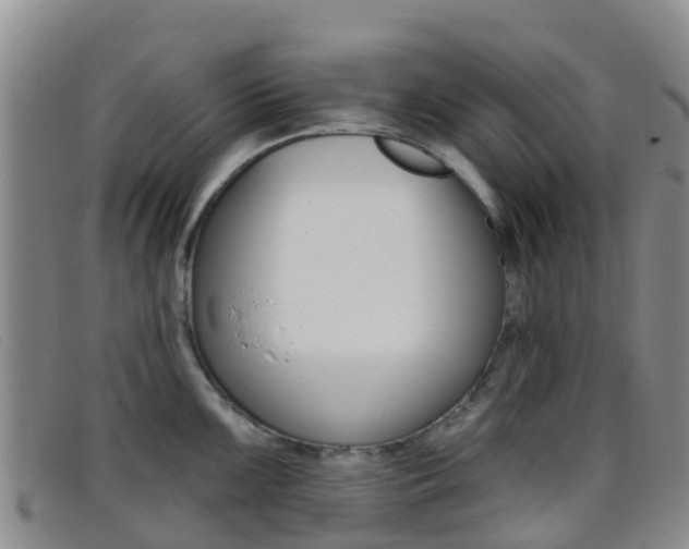 X0000096721099200802051054