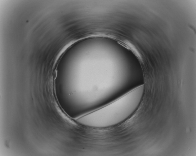 X0000096721100200802051054
