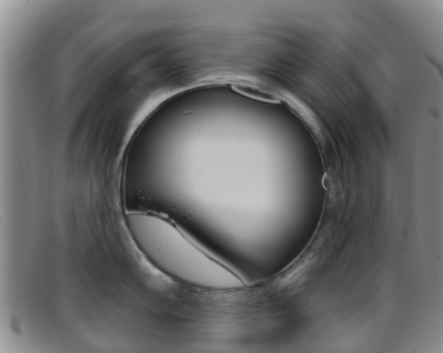 X0000096721102200802051054