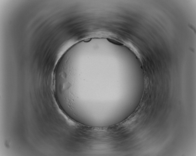 X0000096721103200802051054