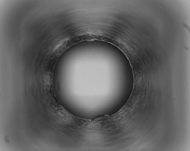X0000096721110200802051054