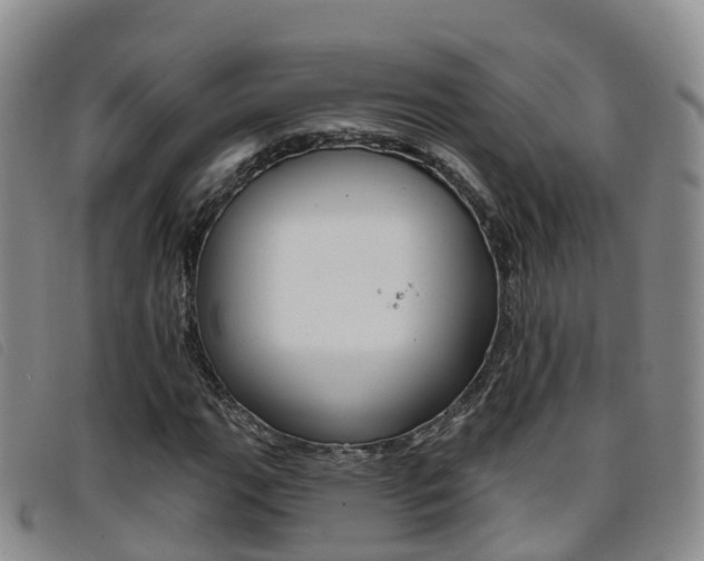 X0000096721111200802051054