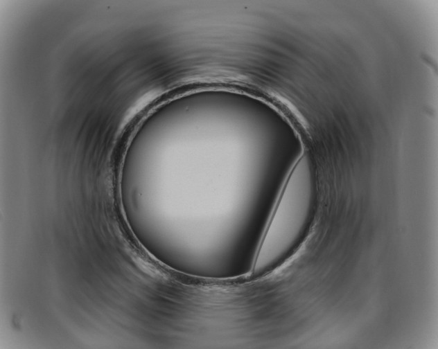 X0000096721114200802051054