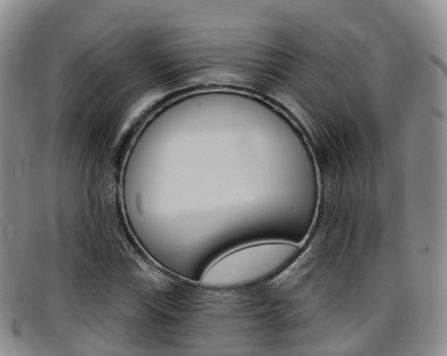 X0000096721115200802051054