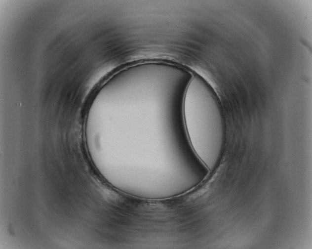 X0000096721119200802051054