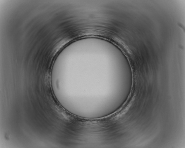 X0000096721121200802051054
