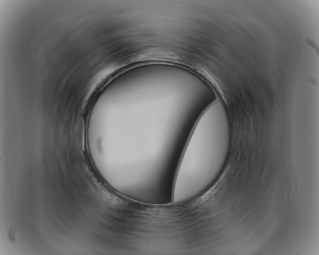 X0000096721123200802051054