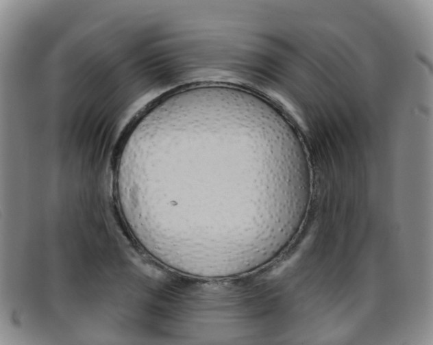 X0000096721125200802051054