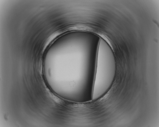 X0000096721131200802051054