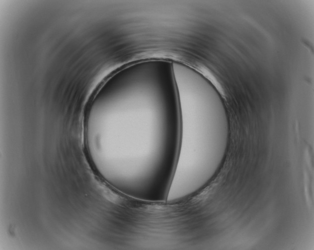 X0000096721132200802051054