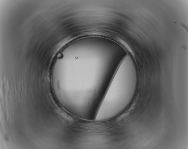 X0000096721133200802051054