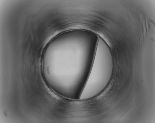 X0000096721134200802051054