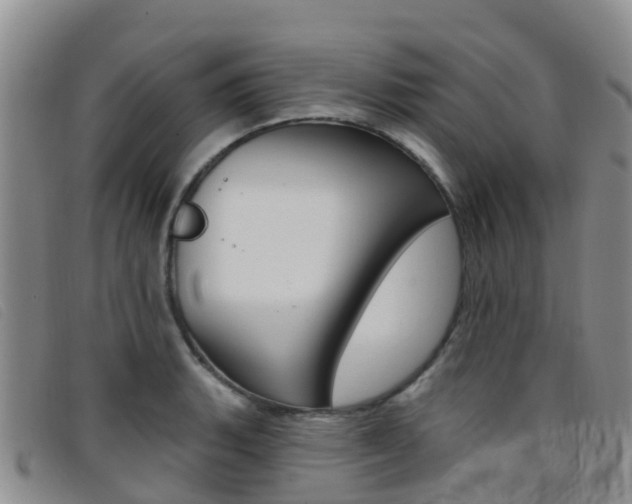 X0000096721135200802051054