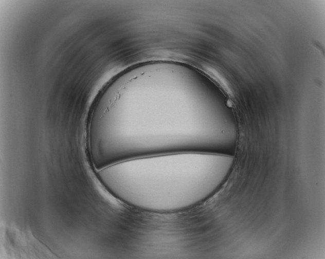 X0000096721136200802051054