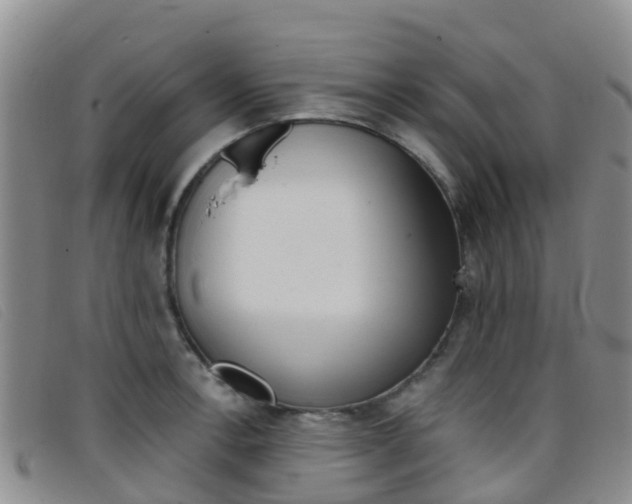 X0000096721138200802051054