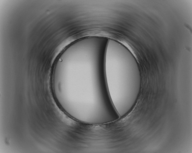 X0000096721139200802051054