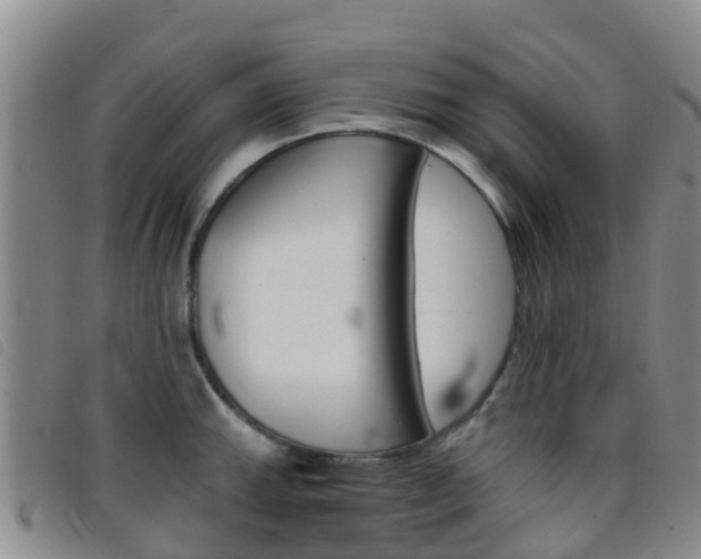 X0000096721143200802051054
