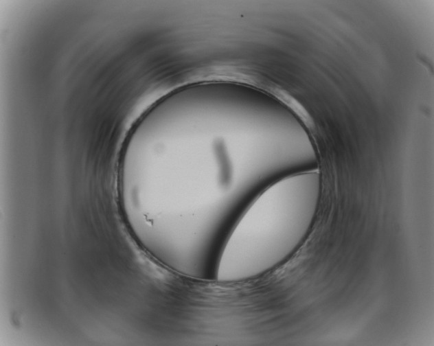 X0000096721144200802051054