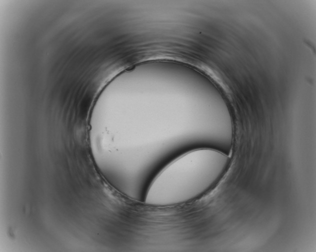 X0000096721145200802051054