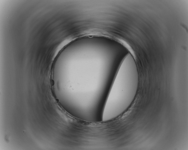 X0000096721146200802051054