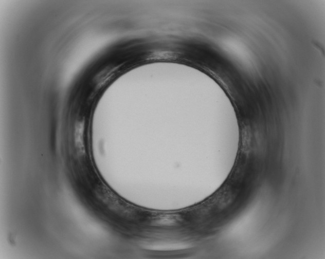 X0000096721150200802051054