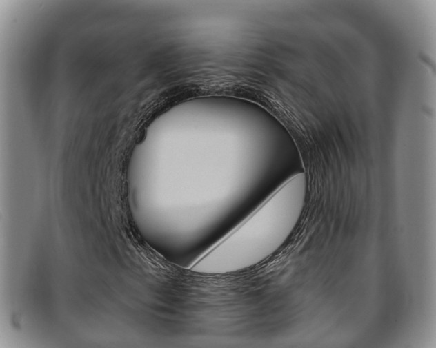 X0000096721153200802051054
