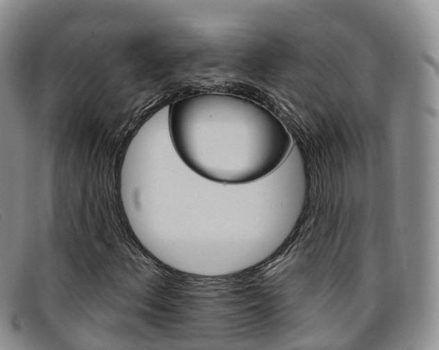X0000096721156200802051054