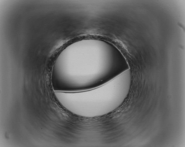 X0000096721159200802051054