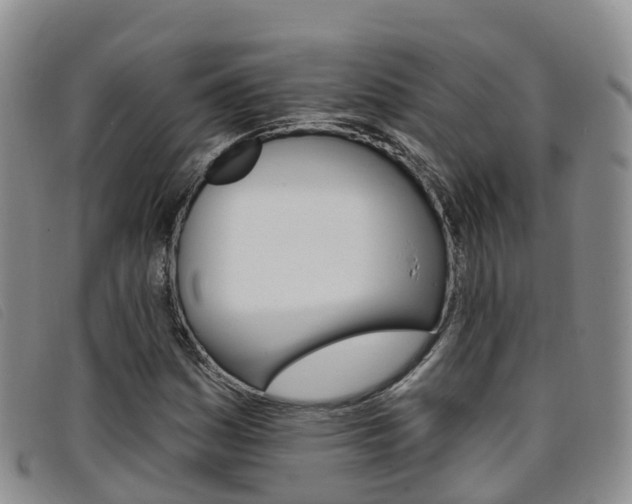 X0000096721161200802051054