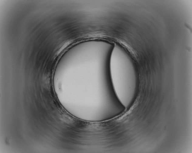 X0000096721162200802051054