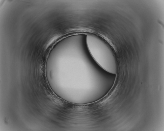 X0000096721163200802051054