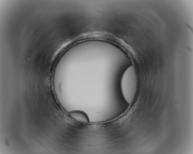 X0000096721166200802051054