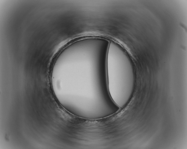 X0000096721168200802051054