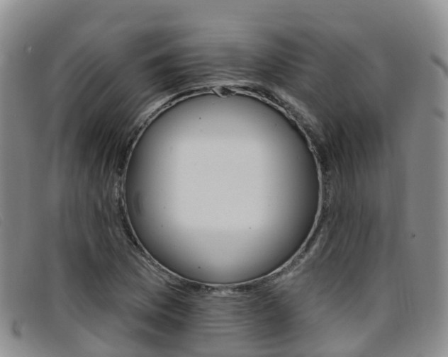 X0000096721169200802051054