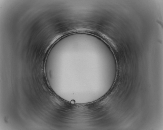 X0000096721170200802051054